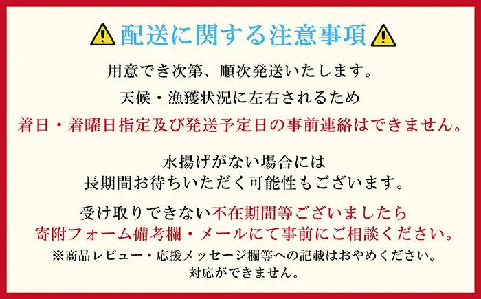【！！先行予約！！＼12月中旬以降、順次出荷予定／】北海道産 違いが分かる天然日本海シマエビ 大サイズ 500g　色鮮やかで香りよし 濃厚な甘み 食べれば分かる格別の味！　国産　江差近海産　天然もの　エビかご漁師直送　最良品厳選　生食可　お刺身　天ぷら　エビフライ　海老