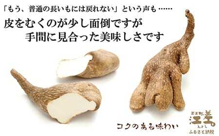 【早期予約 10月より順次出荷予定】《3か月定期便》北海道産 ひらいも  3kg／毎月お届け　砂質土育ち とっても粘りが強い 北海道の山芋　もちもち食感　露地もの　無漂白　ねばり芋　やまと芋　長芋　自然薯　山かけ　とろろ　いももち　豚汁