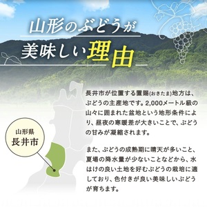 【期間限定】【2026年発送】山形のぶどう(シャインマスカット)約2kg（2～5房）_H063(R8)-2