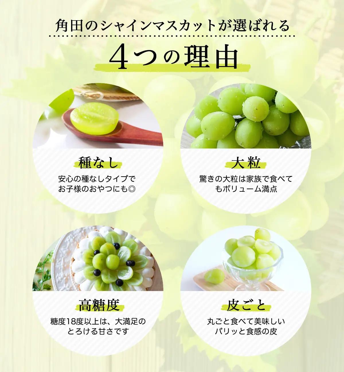 【2026年発送分先行予約】シャインマスカット ２房（約１kg）【2026年9月上旬以降順次】