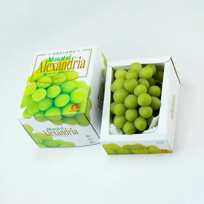 マスカットオブアレキサンドリア 1房(600g以上・秀品以上) 化粧箱入り【2026年7月中旬～8月中旬発送予定】