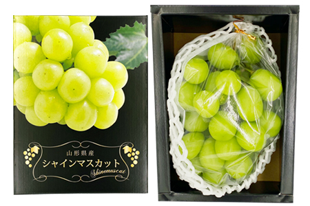 【2026年発送】冬の山形県産低温貯蔵シャインマスカット1房（約600～650g）_H067(R8)