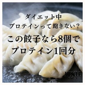 MUSCLE GYOZA ～マッスルギョーザ～冷凍餃子40個入り1袋 