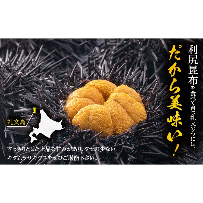 礼文産 キタムラサキウニ 塩水 250g(50g×5) うに