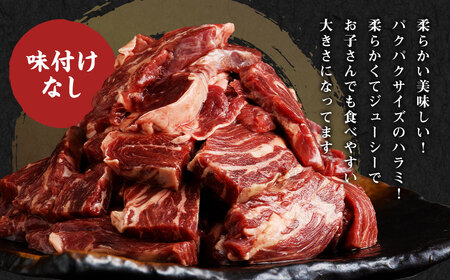 【訳あり】パク旨牛ハラミ 約1.2kg ハラミ 牛肉 お肉 焼くだけ カット済み 個包装 焼肉