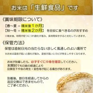 【令和8年産 新米 先行予約】 特別栽培米 雪若丸 (精米) 10kg (5kg×2袋) 《令和8年9月中旬～発送》 『たけひさ農園』 山形南陽産 米 白米 ご飯 農家直送 [1093-R8]