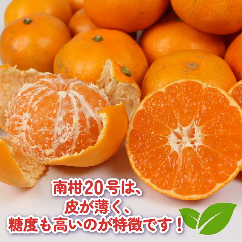 【愛媛みかん】訳あり 南柑20号 みかん 5kg 杉本屋 愛媛 B010-143015