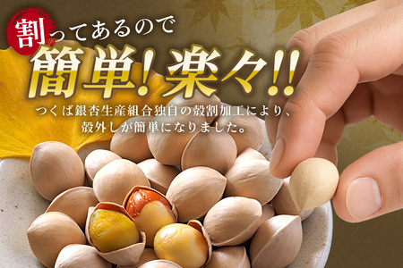 つくば 銀杏 ( ぎんなん ) 殻割 冷凍 500g 農薬不使用 無着色 贈答品 ギフト 高級 旬 食材 食品 国産 冷凍保存 産地直送 送料無料 (A24-001)