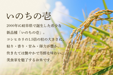 【令和7年産】獅子米 いのちの壱 精米 10kg 岡田ファーム コンテスト受賞米 お米 白米 米 おこめ ブランド米 10キロ 国産 単一原料米 コメ こめ ご飯 銘柄米 茨城県産 茨城 産直 産地直送 農家直送 ごはん 家庭用 贈答用 お取り寄せ 茨城県 石岡市 (B02-018)