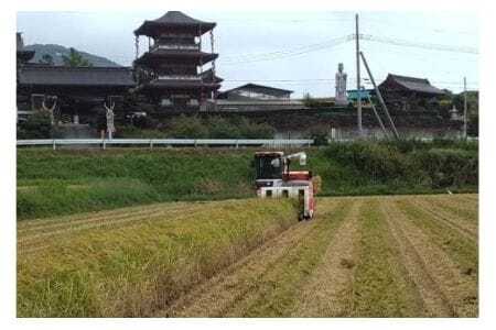 【令和7年産】獅子米 いのちの壱 玄米 10kg B02-019