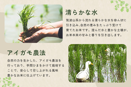 【令和7年産】有機 コシヒカリ 精米 10kg 有機栽培 有機米 特別栽培米 合鴨農法 こしひかり お米 白米 米 おこめ ブランド米 こしひかり 10キロ 国産 単一原料米 コメ こめ ご飯 銘柄米 茨城県産 茨城 産直 産地直送 農家直送 ごはん 家庭用 贈答用 茨城県 石岡市 (B03-002)