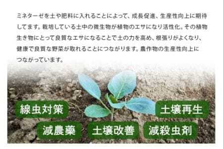 ミネターゼ 土壌改良 土壌活性 資材 微生物 ミネラル 肥料代替 園芸 農業 家庭菜園 ガーデニング 畑 肥料 野菜 栽培サポート 成長サポート 植物用 施用液 液体 常温便 茨城県 石岡市 (E02-004)