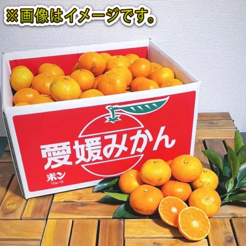 愛媛みかん 訳あり 早生みかん 10kg 誉農園 B010-138010