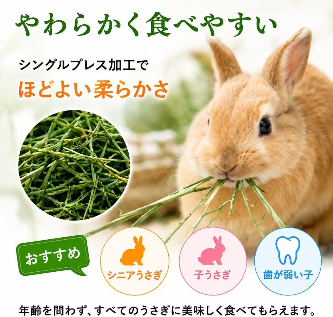 香り豊かなチモシー やわらか仕上げ ロングタイプ 1kg×8袋_チモシー やわらか仕上げ ロングタイプ 1kg × 8袋 一番刈り 牧草 小動物 繊維質 栄養価 ミネラル 健康維持 ダブルプレス ストレス軽減 香り 長持ち 腸内環境 うさぎ モルモット チンチラ 草食動物 福岡県 久留米市 送料無料 〔Pf084〕