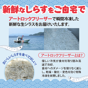 生シラス500g (100g×5個) 魚介 しらす 広島県 呉市