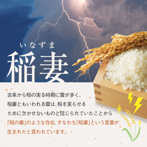 令和8年度産 新米 那珂川町産芳井米 3kg | お米 精米 美味しい 白米 とちぎ 玄米 共通返礼品 送料無料 那珂川町 栃木県