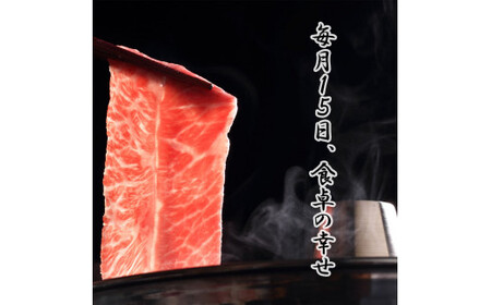 BL031_【毎月15日冷蔵でお届け】佐賀牛スライス定期便800g×4か月【”0度20日間熟成”のウェットエイジング技法】