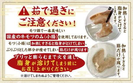 国産牛 もつ鍋 8人前 ちゃんぽん 濃縮スープ付 （みそ味） 冷凍 国産 もつ もつ鍋セット