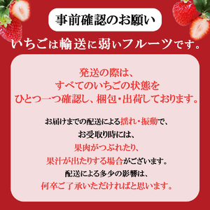 【先行予約】【期間限定】那珂川町産とちあいか 12月発送分 約300g×2×2 |いちご とちあいか ジューシー フルーティー 大きい 新鮮 甘い 美味しい 果物 共通返礼品 フルーツ デザート 栃木県 那珂川町 送料無料
