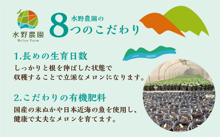 【先行予約】2027年7月お届け  タカミメロン 2玉 水野農園 メロン
