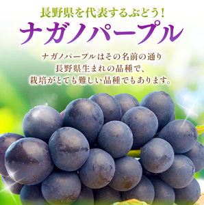 【先行予約】信州産 ナガノパープル、シャインマスカットのセット 約1kg (2房)