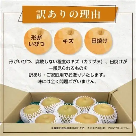 2026年発送先行受付 周郷梨園のやちよ100年梨家庭用(5kg)【1493891】