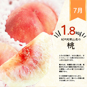 【全3回】紀州和歌山産旬のフルーツ定期便 (スイカ・桃・巨峰) / すいか スイカ もも 桃 白桃 巨峰 ぶどう 果物 くだもの フルーツ フルーツ定期便 和歌山【Z-tkb420】 