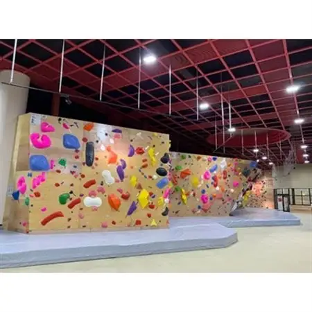 クライミングパーク神怡舘利用券(大人60歳未満)×11枚セット【1205061】