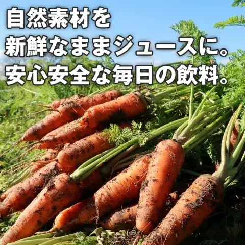 【ナチュラルハウス】 自然素材 国産 有機人参ジュース　１缶160ｇｘ30本入り 
