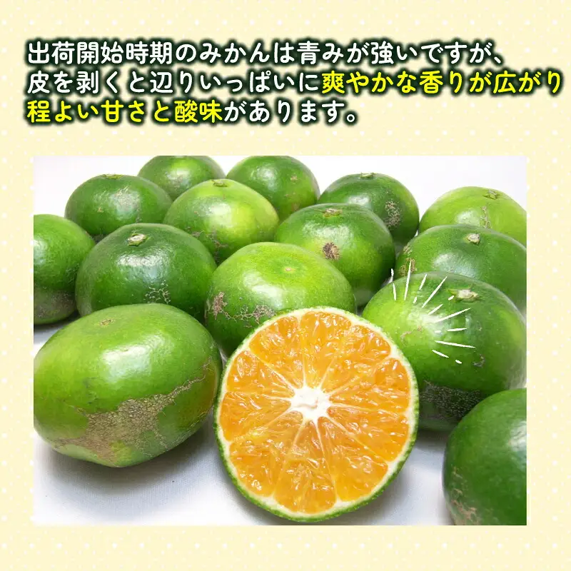 温州みかん 訳あり 極早生 7kg 杉本屋 温州みかん B010-143022