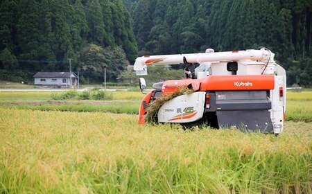 【令和8年産】大蛇の瞳 白米 4kg 《11月上旬-6月末頃出荷》精米 熊本県 南関町産 単一原料米 コシヒカリ 産地直送 コメ お米 ごはん
