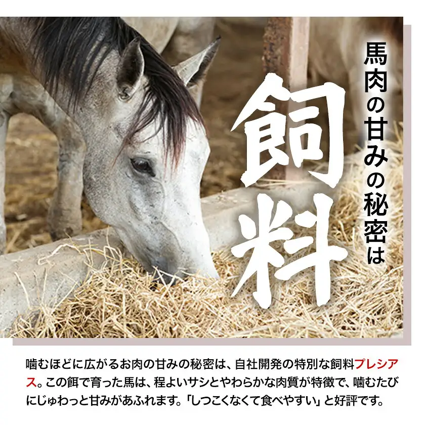 馬肉 自家牧場産 馬刺し赤身240g (馬刺し用タレ付き) 《60日以内に出荷予定(土日祝除く)》