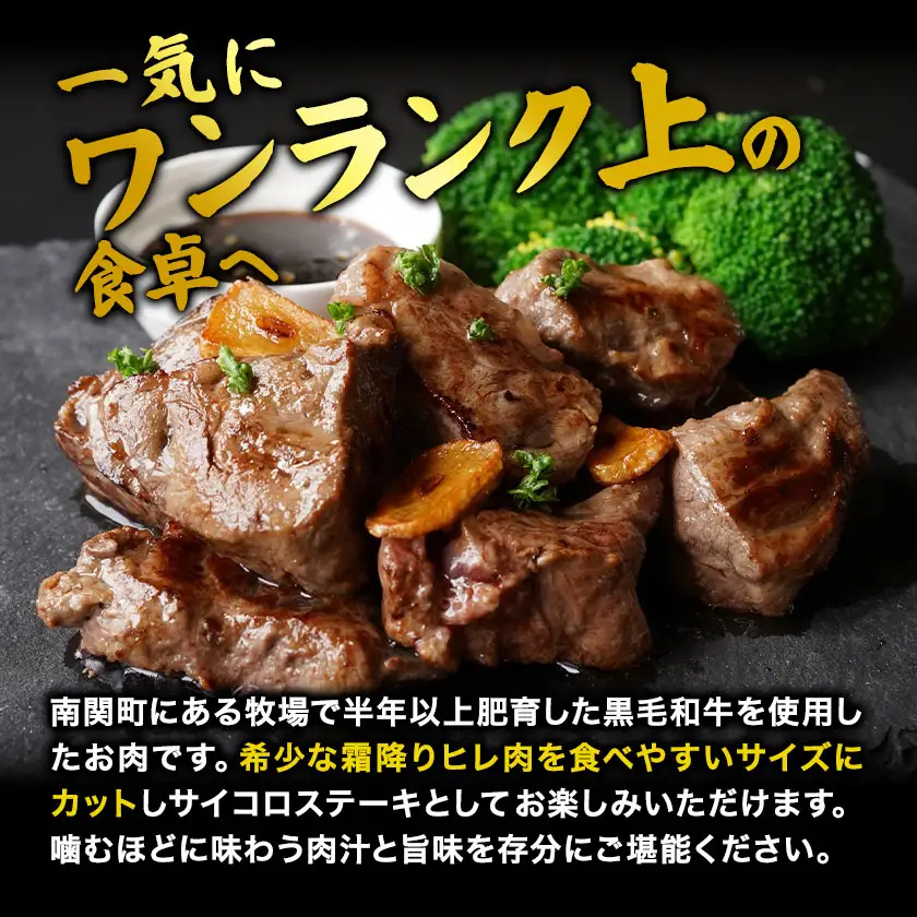 黒毛和牛 ヒレサイコロステーキ 600g 高椋畜産 《60日以内に出荷予定(土日祝除く)》 