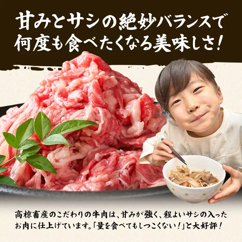 黒毛和牛切り落とし 1kg (500g×2パック) 高椋畜産《60日以内に出荷予定(土日祝除く)》
