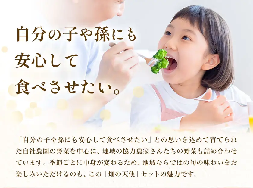 野菜 詰合せ 7～9品 米 2kg 1回《60日以内に出荷予定(土日祝除く)》畑の天使