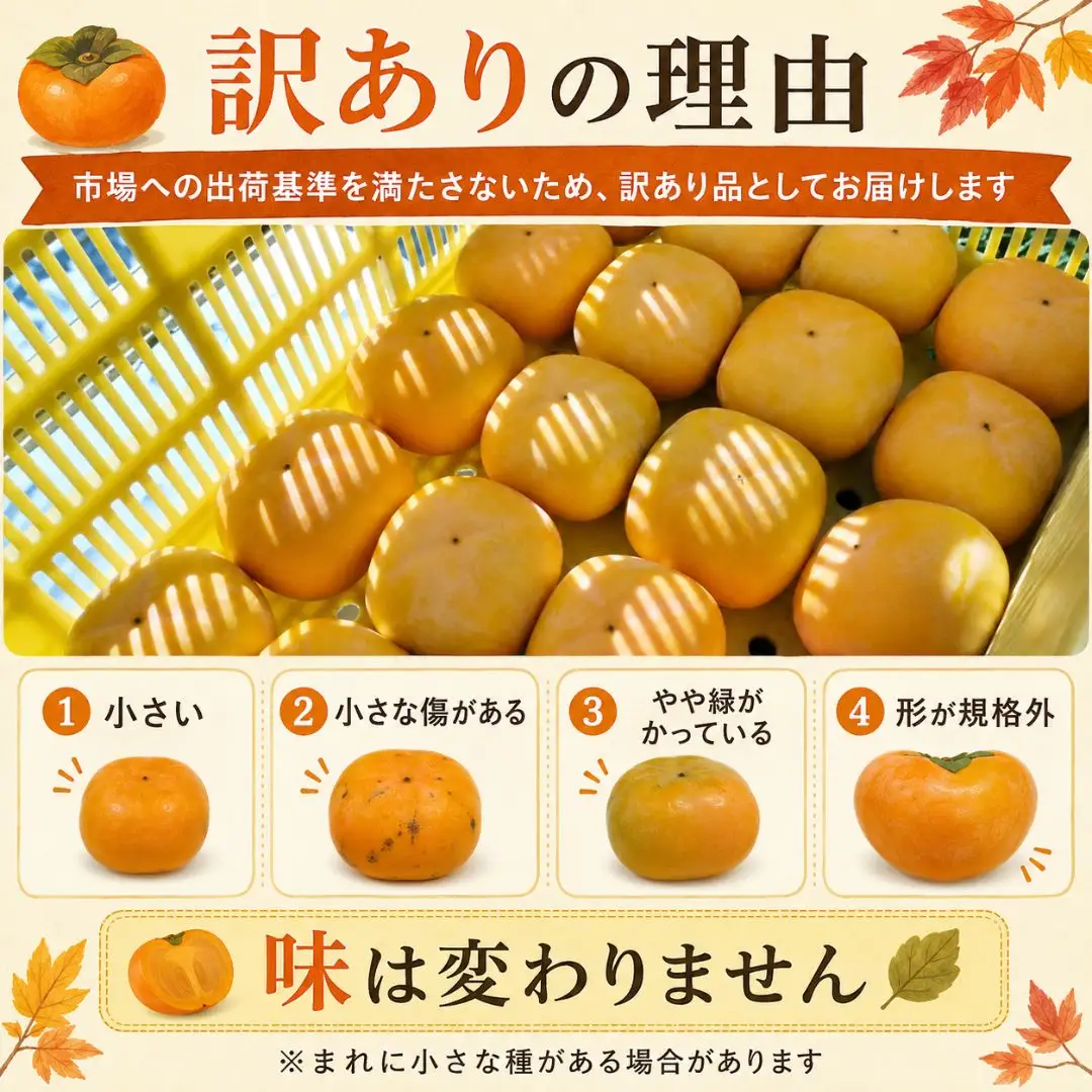 柿 たねなし柿 10kg 訳あり