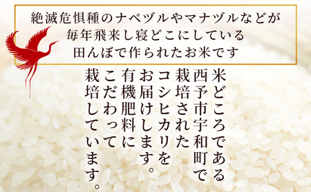 【先行予約】新米 ＜令和8年産 コシヒカリ「つるの寝どこまい」約10kg 西予市宇和町産＞ 2026年産 こしひかり お米 コメ こめ 白米 精米 ご飯 ごはん 穀物 ライス SDGs 共生 楠 健明 愛媛県 西予市【常温】『2026年9月上旬から順次出荷予定』 UKK0002