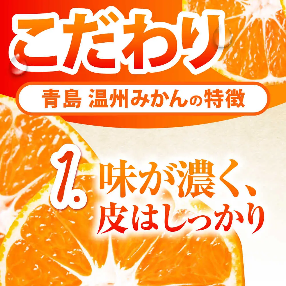 【2027年1月-発送】青島 温州みかん 10kg [SCQ003] みかん