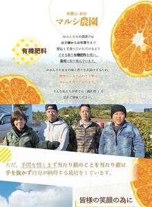 【2027年先行受付】麗紅柑 (れいこう) 赤秀品 S～2Lサイズ 3kg 和歌山有田産_BF6062