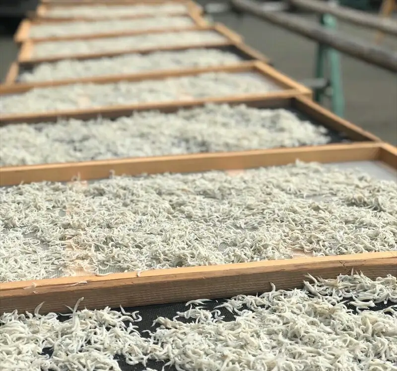 湘南大磯しらす網元 松道丸・釜揚げしらす 2パック 400g （200g×2）【 しらす 魚介類 海鮮 惣菜 おかず ギフト 簡単調理 冷凍配送 送料無料 大磯グルメ 神奈川県 大磯町】