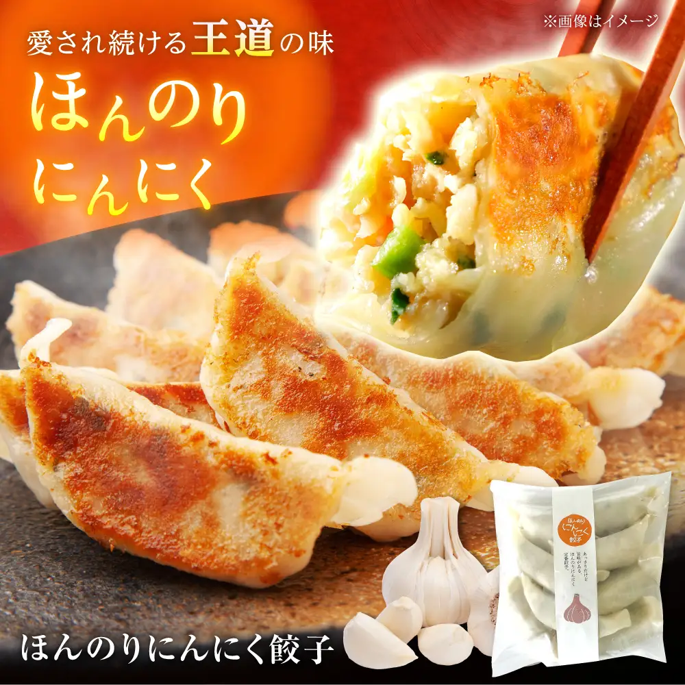 【ふるなびWEEK対象】餃子屋ヒロの3種食べ比べセット 餃子 ぎょうざ[BDAS002] 