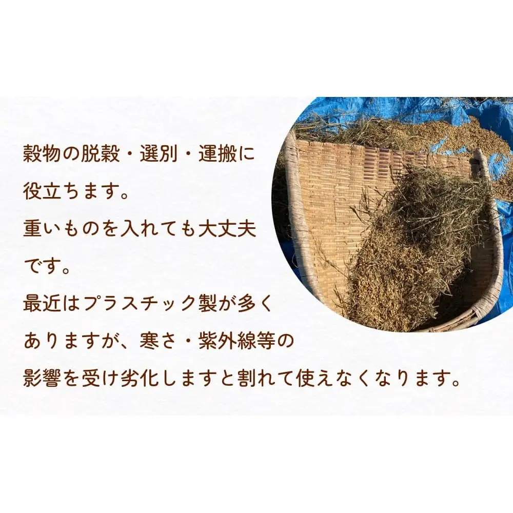 藤箕 (論田・熊無の国重要無形民俗文化財) 中箕 富山県 氷見市 箕 日用品 畑 道具