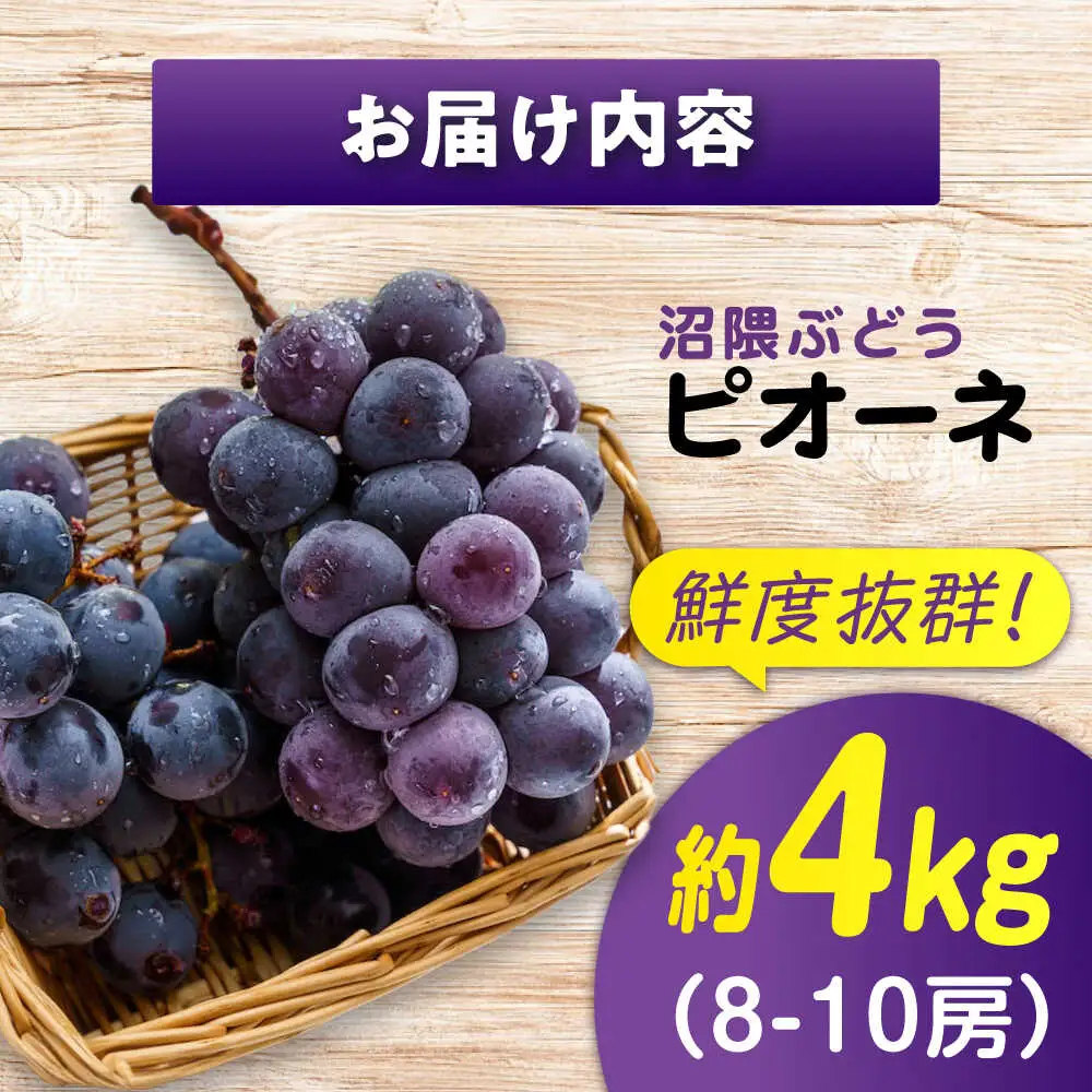 【期間限定/8月下旬から9月上旬頃発送】ピオーネ 約2kg×2 沼隈ぶどう [BAEV006] ぶどう