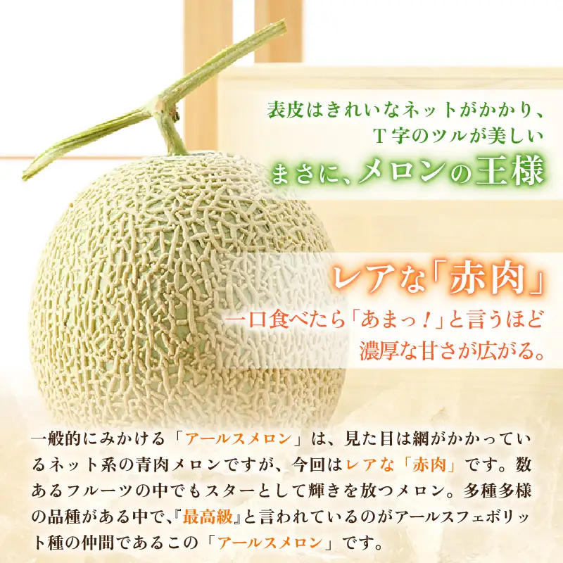 【先行予約】アールスメロン 2玉（約3.2kg以上）赤肉品種 高級メロン！ ／ マスクメロン 大玉 果物 フルーツ 夏 ギフト 農家直送 ※2027年6月下旬以降順次発送 [aw065-a014]