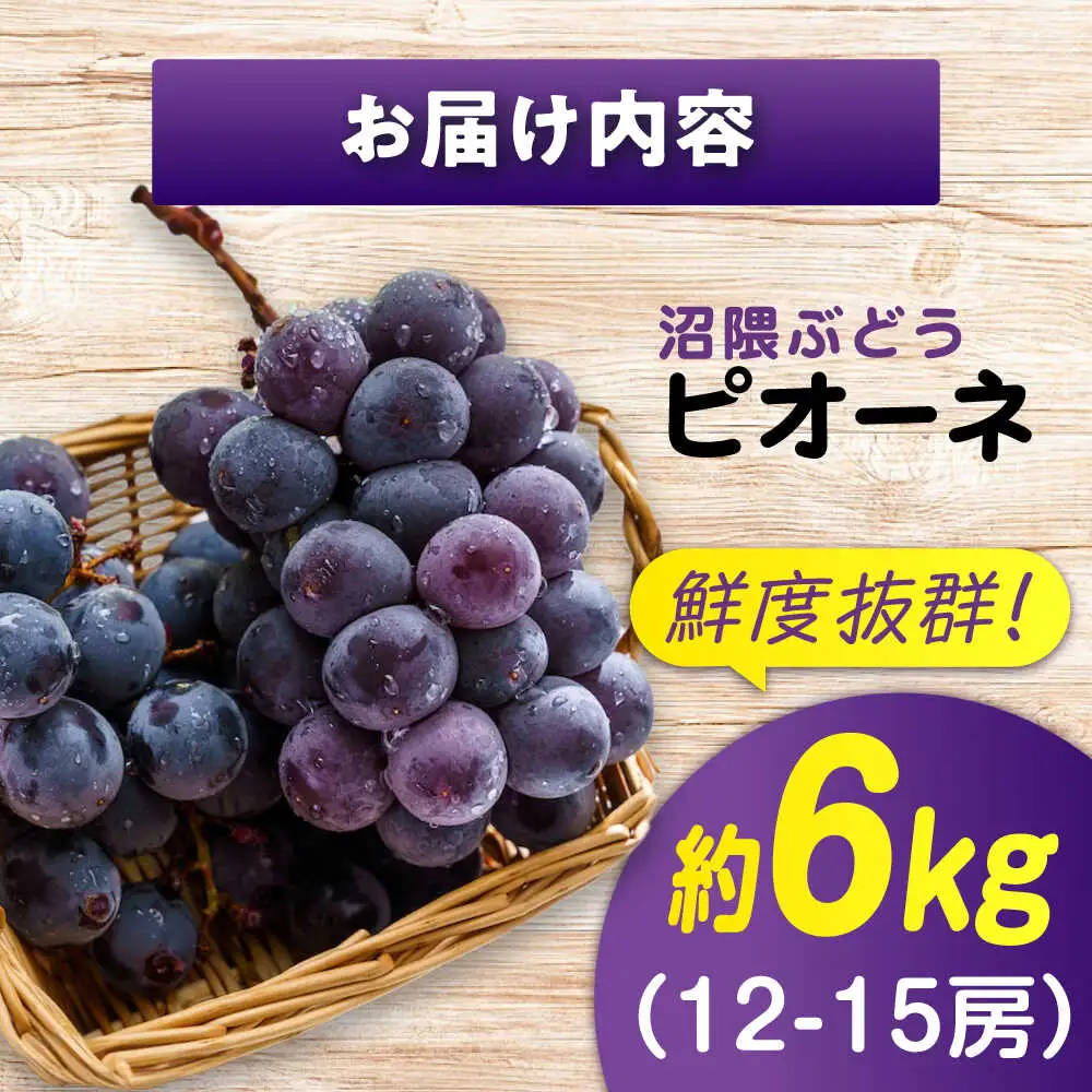 【期間限定/8月下旬から9月上旬頃発送】 沼隈ぶどう「ピオーネ」 約2kg×3[BAEV007] ぶどう