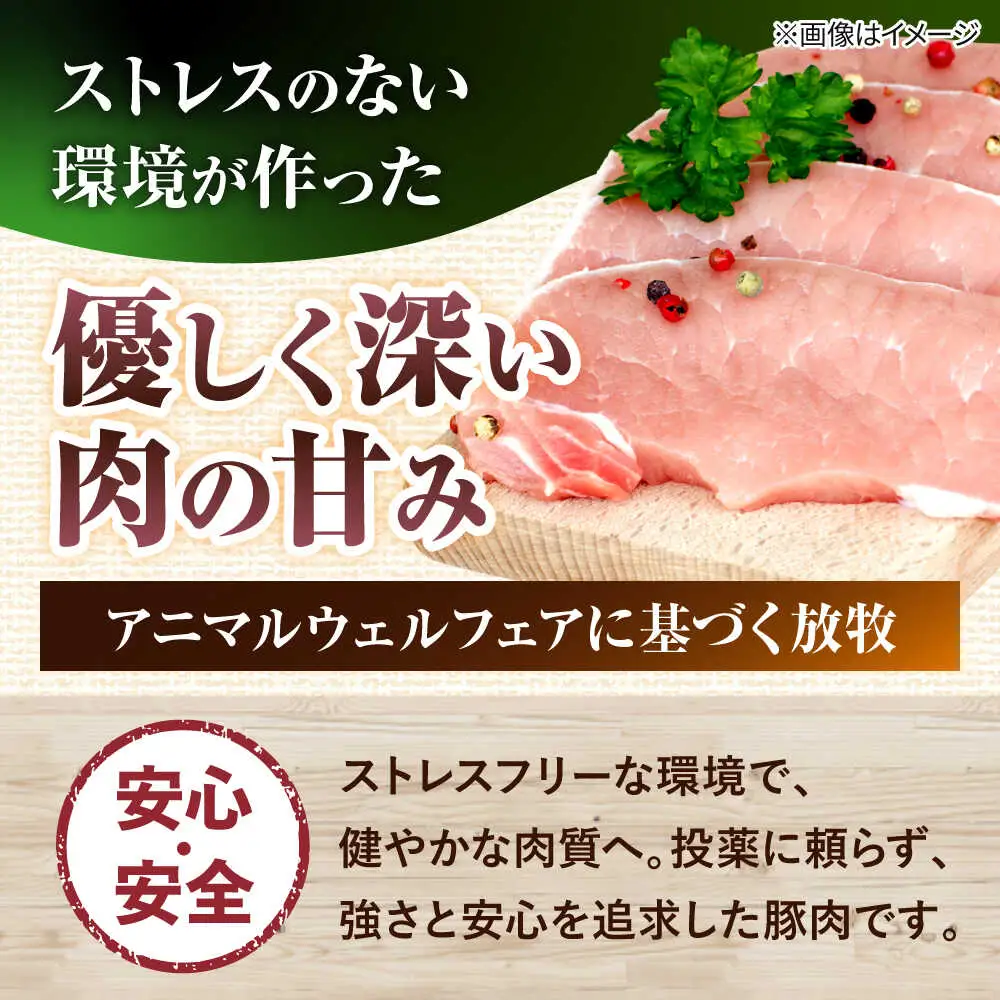 『ハム贅沢セット』 豚肉 ポーク ステーキ ソーセージ ハム 詰め合わせ  BCAR007 豚肉