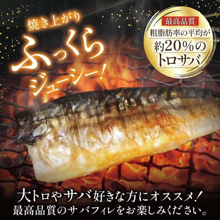 訳あり 塩サバ フィレ 4kg 