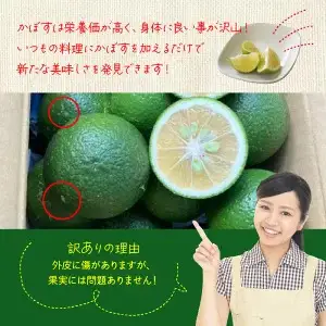 【先行予約】【訳あり】【選べる容量】農家直送！竹中農園 かぼす 約3.3kg_2473R-2