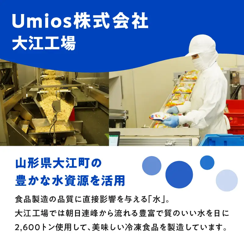 Umios 冷凍食品 詰合せセット《3ヵ月定期便》 045-T02