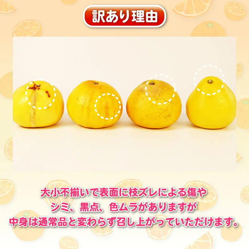 訳あり 旬 の 柑橘定期便 全4回 杉本屋 先行予約 わけあり みかん定期便 完熟みかん 柑橘 みかん ポンカン 不知火 完熟 温州みかん 土佐文旦 文旦 ていきびん mikan 愛媛みかん愛媛ミカン 愛媛蜜柑 早生温州 温州 甘い 果物 フルーツ 柑橘 蜜柑 産地直送 数量限定 国産 愛媛 宇和島 B040-143024